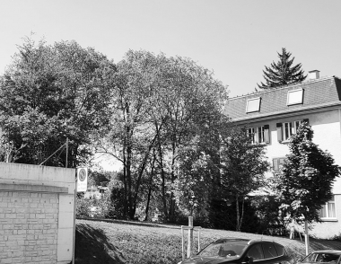 Immeuble Rue des Crêtets, La Chaux-de-Fonds