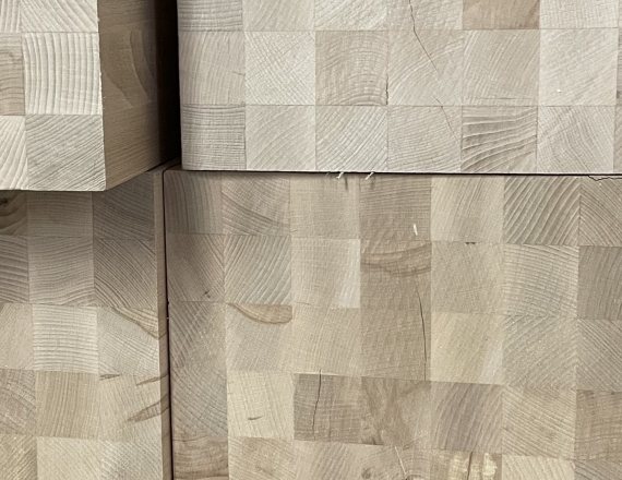 Visite Fagus Suisse SA Les Breuleux